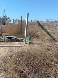 بستان • دونم ونص • بين مدخل ١-٢