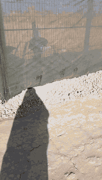 يوجد لدينا ارض مساحه دونمين طابو سند 25
تحويل مباشر بأسم المشتري طابو المحموديه
موقع مميز قرب السريع الدولي قريه المعين مقابل لواء 55 بغداد الرضوانيه ترهم سكن او مزرعه او جملونات الجماعه الاستثمار توجد مدارس ومركز صحي 
صاحب الارض ***********
***********
