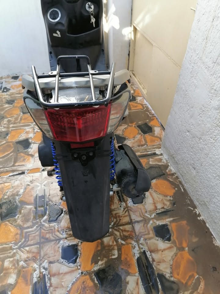 سكنس فحل للبيع عنواني بعقوبة التحرير 900 وبيه مجال  
***********
