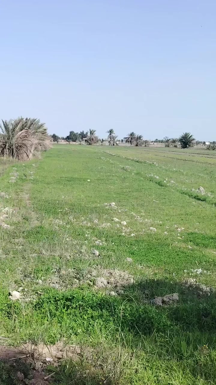 5 دوانم للبيع على المشروع الاراضي مباشرتا
العنوان تاجي ذراع دجله تباع دونم فما فوق 
صايره على شارع 10 مترات وواجهية الدونم 
الواحد 40×60 مربع منطقة امان وتكدر تعيش برفاهيه
وترفيه سعر الدونم الواحد 33 مليون وبيه مجال جنس الارض طابو
سند 25 فتح بيان بسم المشتري اي تواصل او استفسار
على رقمي متوفر بي واتساب *********** 🌴🌳هاي الصفحه مالتي مال الكاع دوانم صوره وصوت فيديو مال ابو حوراء الا ستثمارالعقاري عله التكتوك عيني عمو راسلني خاص تمام بمطقه شيخ عامر منطقة البركيبه كلش قريب عله سبع البور وعله التاجي
