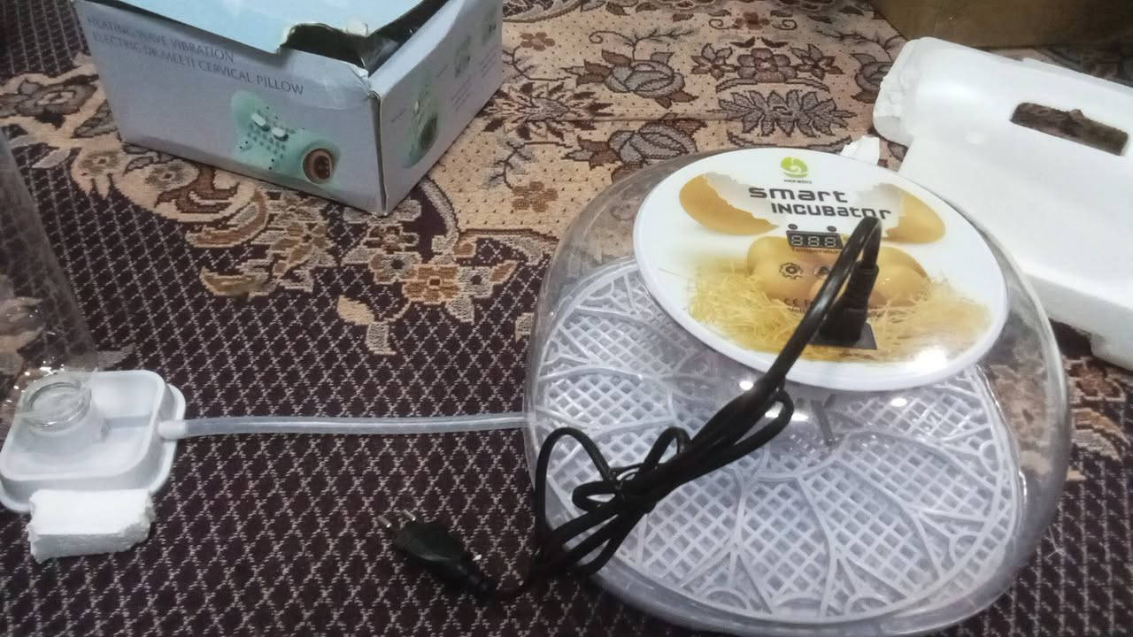 دەفرۆشین للبیع


**إذا كنت صاحب هذا الإعلان وتريد حذفه لأي سبب، رجاءا أرسل رسالة إلى الدعم الفني**