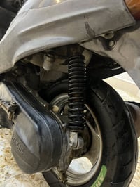 بيجي فحل سلف وهندر  كفرات اصلي شوته اصلي  صالنصه اصلي  جوزة تجاري فقط ...