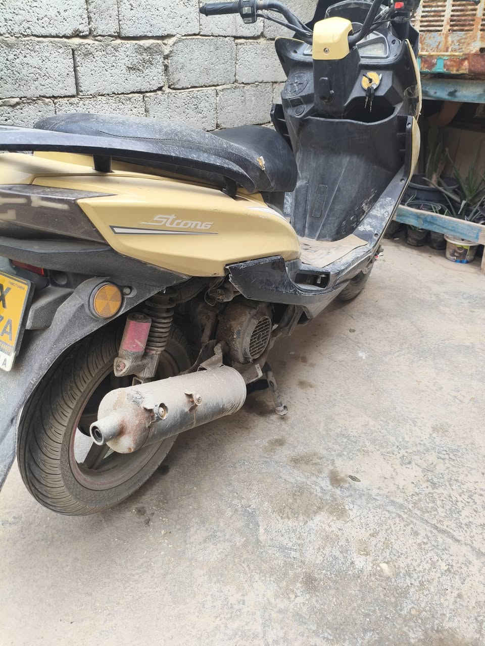 سلام عليكم دراجه سترونك نضيفه مامفتوحه ياباني اصلي كابريته يحتاجلهه تنضيف سعر250. بيهه مجال بصيط *********** مكان كربلاء شارع الحر
