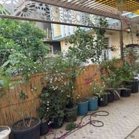 زوير • طابو زراعي • ٢٥٠م