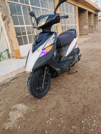 دراجه ثعلب • كفاله عام • أوراق اصوليه