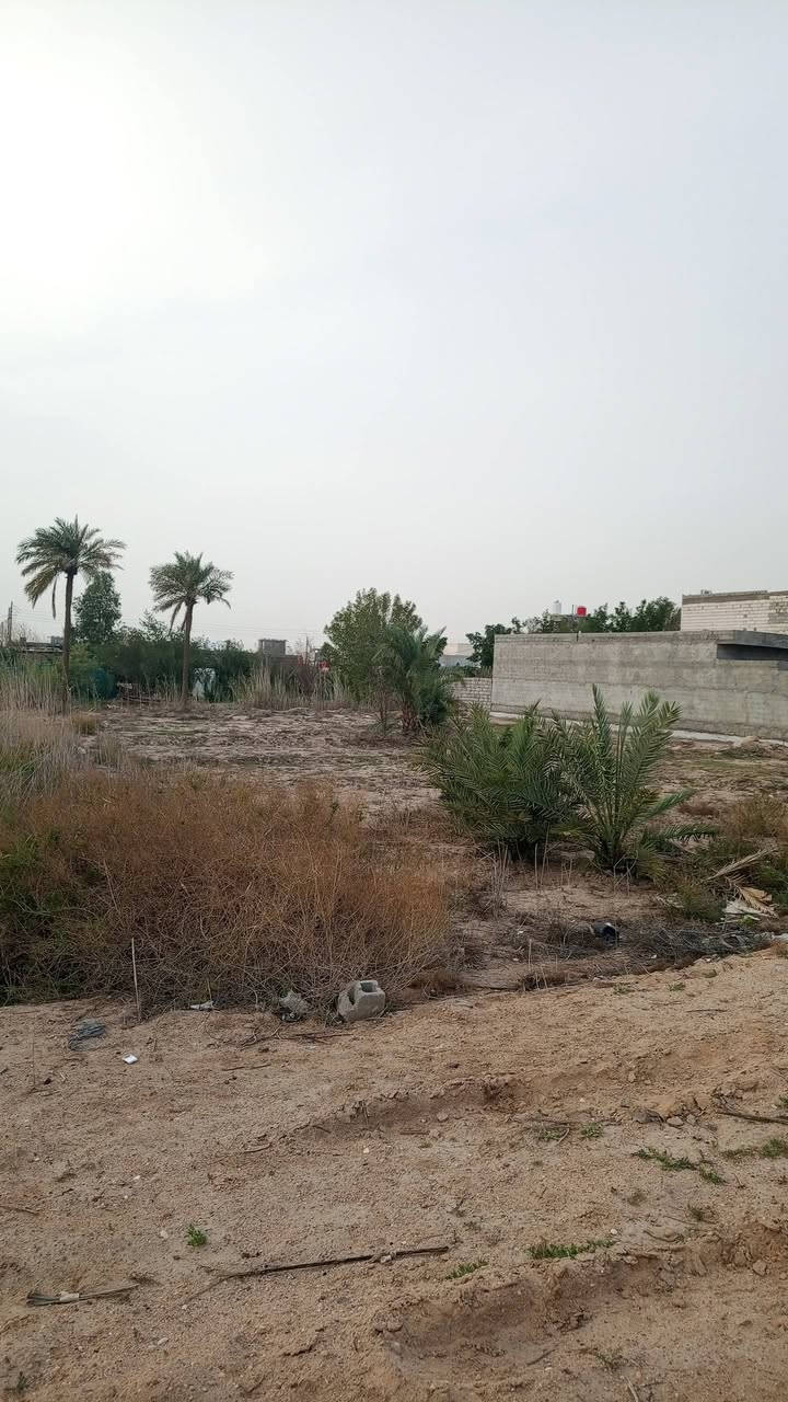 نص دونم طابو زراعي
العنوان ابو كوصرا  
السعر 180قابل التفاوض 
تصال الرقم ***********
