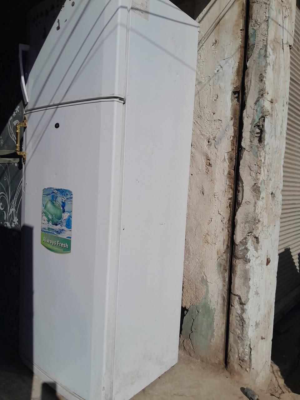 ثلاجات شرط التجميد الحجم الكبير ١٦
والبقيه وسط عل الفحص ٤٠٠ سعرهن المكان النجف الجديده الرقم ***********
