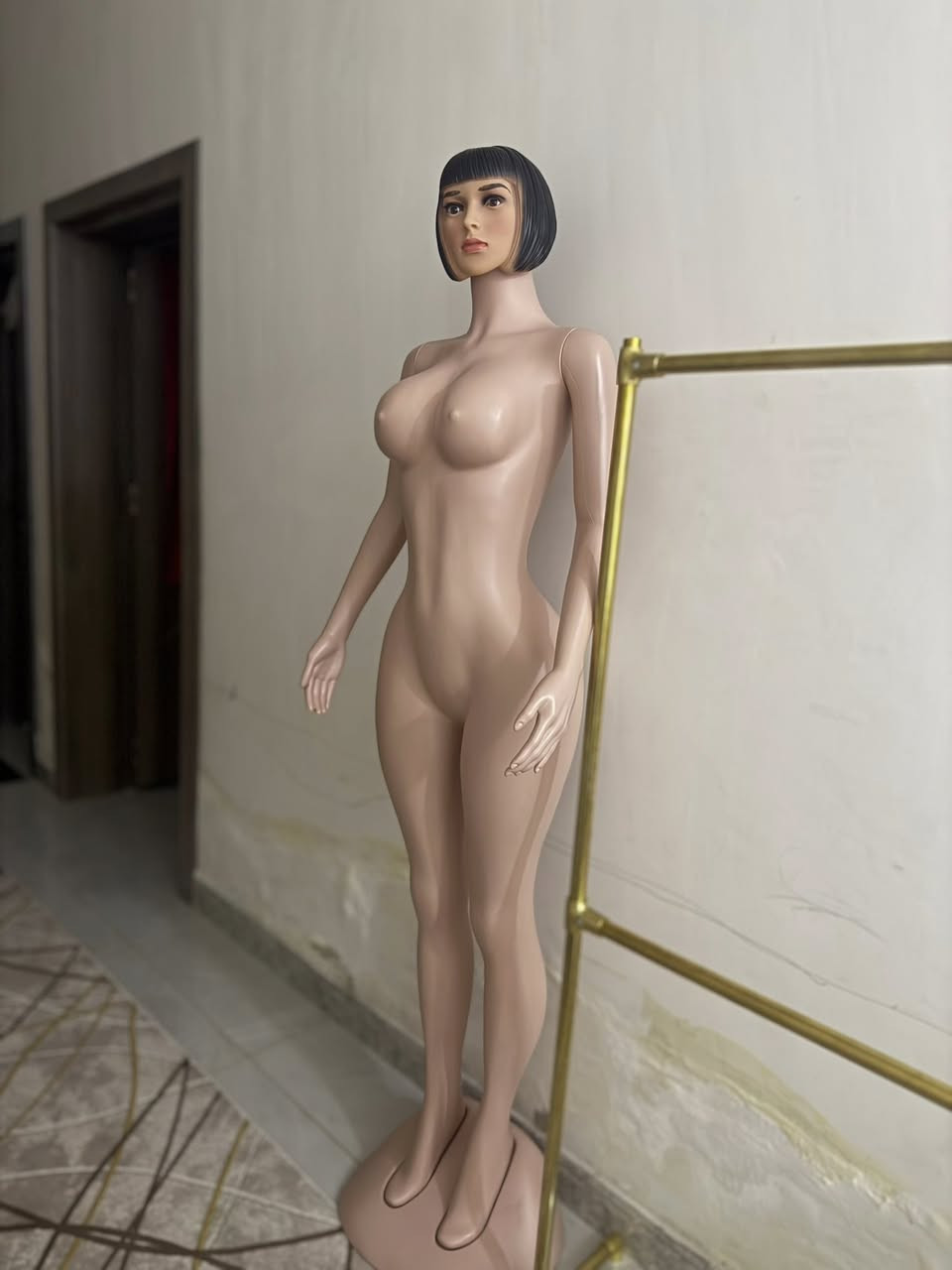 عندي هاي مليكانه والستاند لبيع جدد ما صارلي هواي من اخذتهم وما مستخدمين عنواني بغداد الحرية الشراي فقط يدخل خاص


**إذا كنت صاحب هذا الإعلان وتريد حذفه لأي سبب، رجاءا أرسل رسالة إلى الدعم الفني**