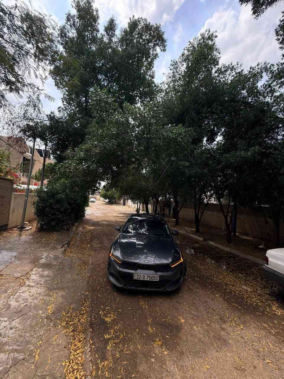 كيا K5 EX 1/1 موديل 2021
رقم أربيل شمالي

محرك 1600 تيربو
اللون نفطي

المواصفات:

- بصمة تشغيل
- تشغيل عن بعد
- شحن هاتف لاسلكي
- قيادة ذاتية على الخطوط السريعة
- هندبريك بصمة
- سقف أسود بانوراما
- مثبت سرعة
- مرايا قلاب عند الرجوع
- نظام صوت Bose
- حساس إطارات
- بك لايت LED كامل متصل
- شاشة كبيرة GPS
- كامرة دوارة مع حساسات خلفية
- كشنات حار وبارد
- شاشة أعطال
- ويل كروم لونين
- رادارات جانبية
- مراقبة النقطة العمياء
- جنطة ذكية عند الاقتراب مع ترحيب
- إشارات بالمرايا
- كشنات جلد أسود
- كراسي أمامية كهربائية
- لايتات عدسات LED أصفر
- أنظمة قيادة Eco / Sport / Smart / Normal
- تحكم كامل بالستيرن
- كير أوتو وعادي
- أوتو بريك

دشبورد صاج

الحادث:
بونيد صبغ و الجنطه صبغ بسبب طخه ابغداد
بدون ايرباك

الحجر شرط بلادي

مكان السيارة:
بغداد - حي القاهره

للاستفسار:
***********
