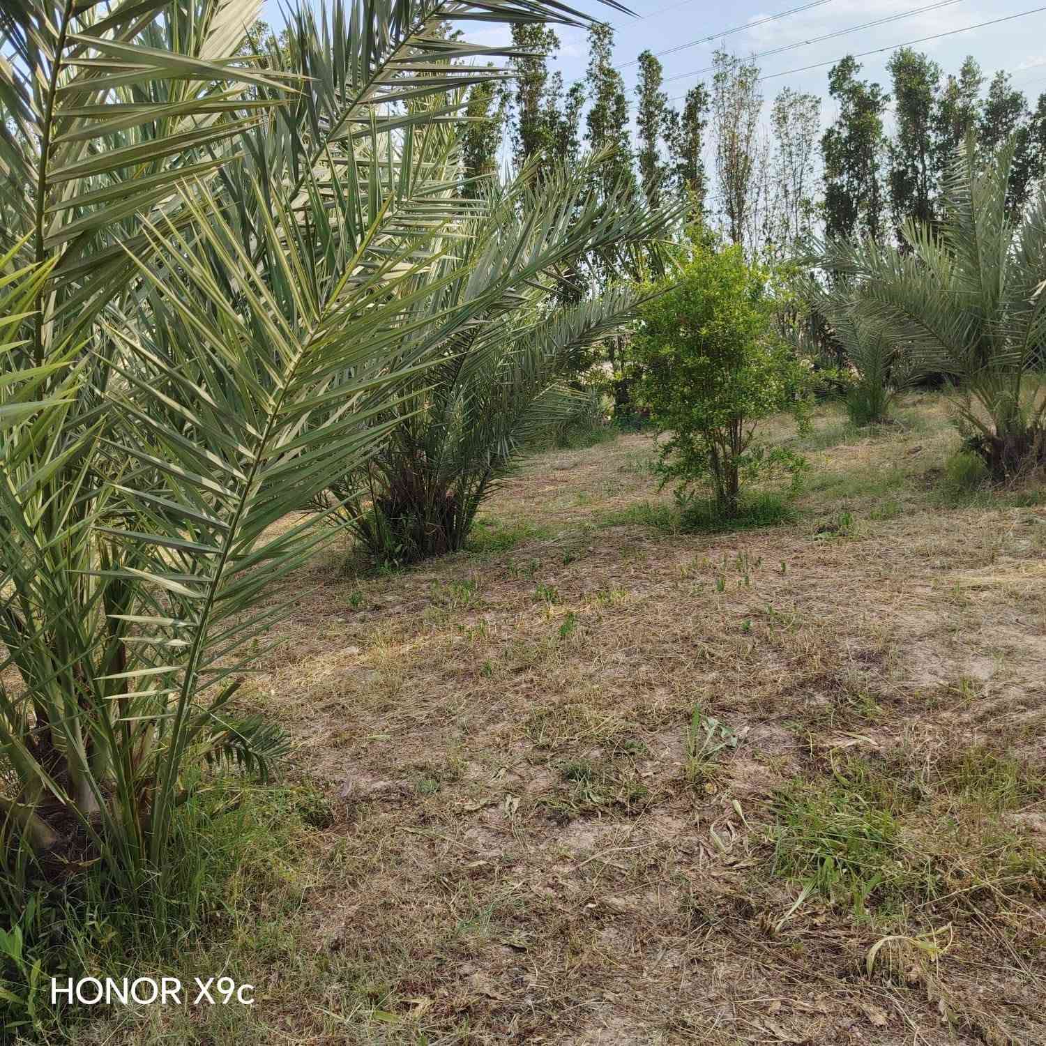 سلام عليكم  تلث دوانم لبيع طابو زراعي سند خمسه وعشرين لجبه ١٥٦ ونزال ٤٨ مكانهن ناحيت الوحده الخالصه بيه مي اساله ومي سكي وكهربا وتبليط لباب تبعد عن شارع العام ثنين كيلو سعر لدونم لواحد ٨٥ وبي مجال وهاذ رقمي ***********
