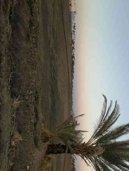 أرض زراعيه للبيع المساحه دونم سند ٢٥ تحويل مباشر
للأستفسار الاتصال فقط

***********

***********
