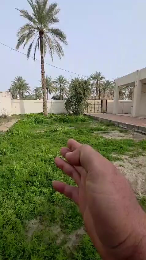 سلام عليكم البيع في كربلاء دونم مع دار
طابو زراعي سند25تحويل اسهم
للاستفسار***********
***********
