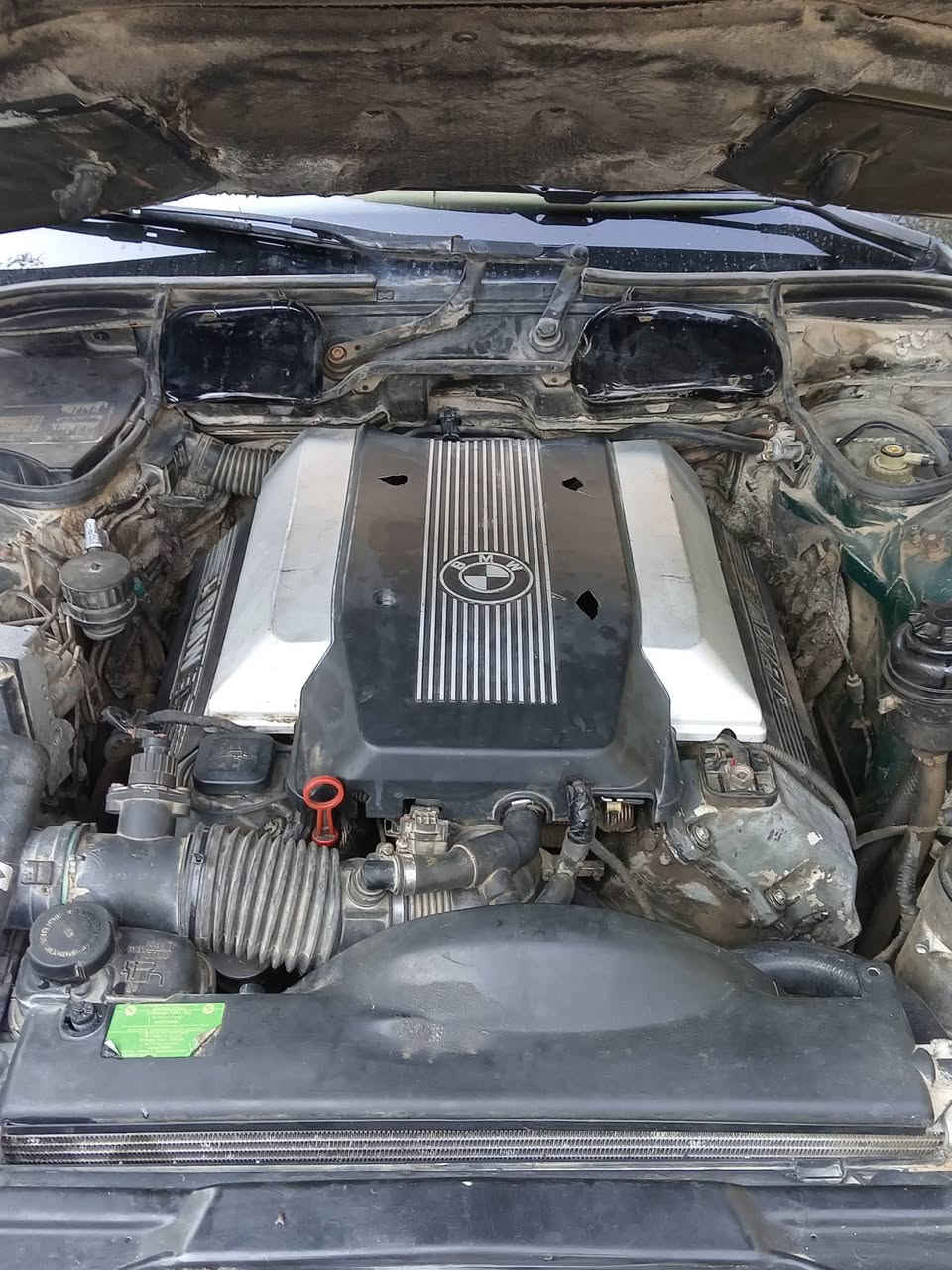 BMW موديل ٩٥ سيارة جاهزه صبغ عام بدون ضربه
بغداد مشروع وطني  مكاني البصره  غرفتها يرادله ترتيب بس  بيع مراوس 50$.  ***********
