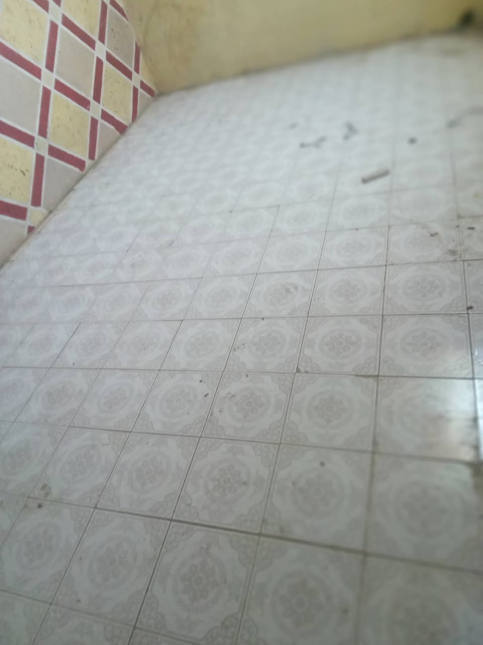 الشقه الإيجار منطقة الموفقية قرب مدرسة حسن الجلوب  فوك غرفة كبير مطبخ والطابق الثاني غرفتين حمام  *********** الإيجار ٢٥٠ بية مجال
