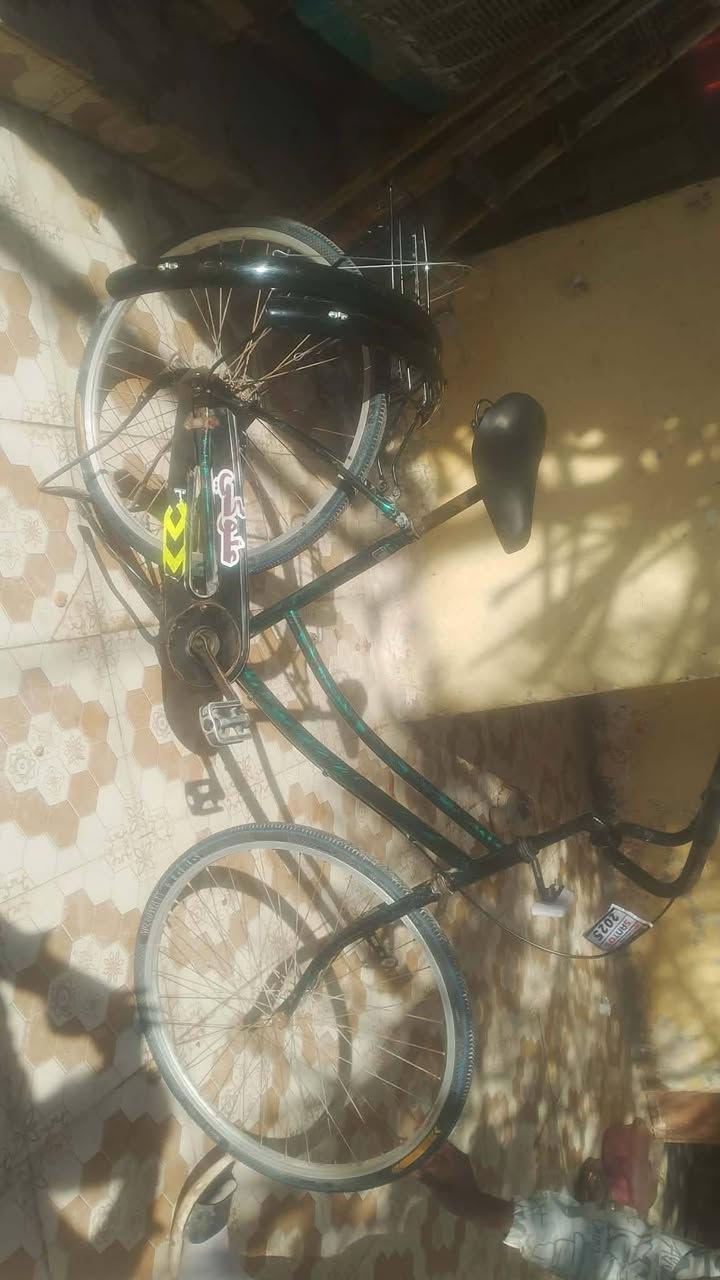 البيع كلمن وسعره الشراي يتفضل خاص المكان الديوانيه


**إذا كنت صاحب هذا الإعلان وتريد حذفه لأي سبب، رجاءا أرسل رسالة إلى الدعم الفني**