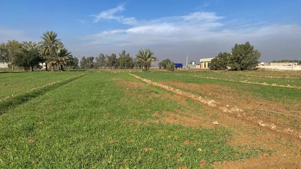 ارض دونمين ونص بغداد سعر الدونم 55
للبيع ارض في بغداد تقاطع النهروان دونمين ونص كاملة الخدمات قرية سكنية رسمية صالحة للسكن او انشاء مزرعة عائلية متوفر 

ماء 

كهرباء

بوري ماء اسالة

سحب وجميع الخدمات 

منطقة جميلة وهادئة مع سياج مجاناً للمشتري واشجار 

الارض محوطة شوارع مثل ما موضح في التصميم وجه 50 نزال 125  للاستفسار مراسلة الصفحة او الاتصال ***********
