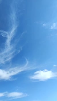 بايسكل • موديل 2022 • اصلي