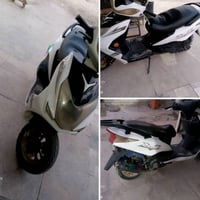 سكنس • فحل • قرب مجسر نادر