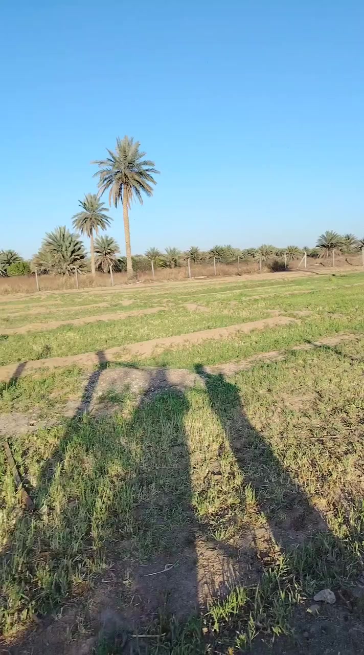 اخوان اي استفسار اني حاضر اسعر والتفاصيل داخل الفيديو
الستفسار***********
