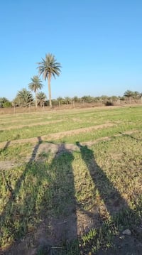 اخوان اي استفسار اني حاضر اسعر والتفاصيل داخل الفيديو الستفسار07722675...