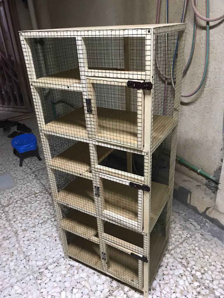 قفص جديد ٣ خانات الارتفاع متر و٤٠ والعرض٦٠سم والنزال٤٠سم موجود رف بكل خانه /كربلاء حي الانتفاضه الثانيه كربلاء, العراق


**إذا كنت صاحب هذا الإعلان وتريد حذفه لأي سبب، رجاءا أرسل رسالة إلى الدعم الفني**