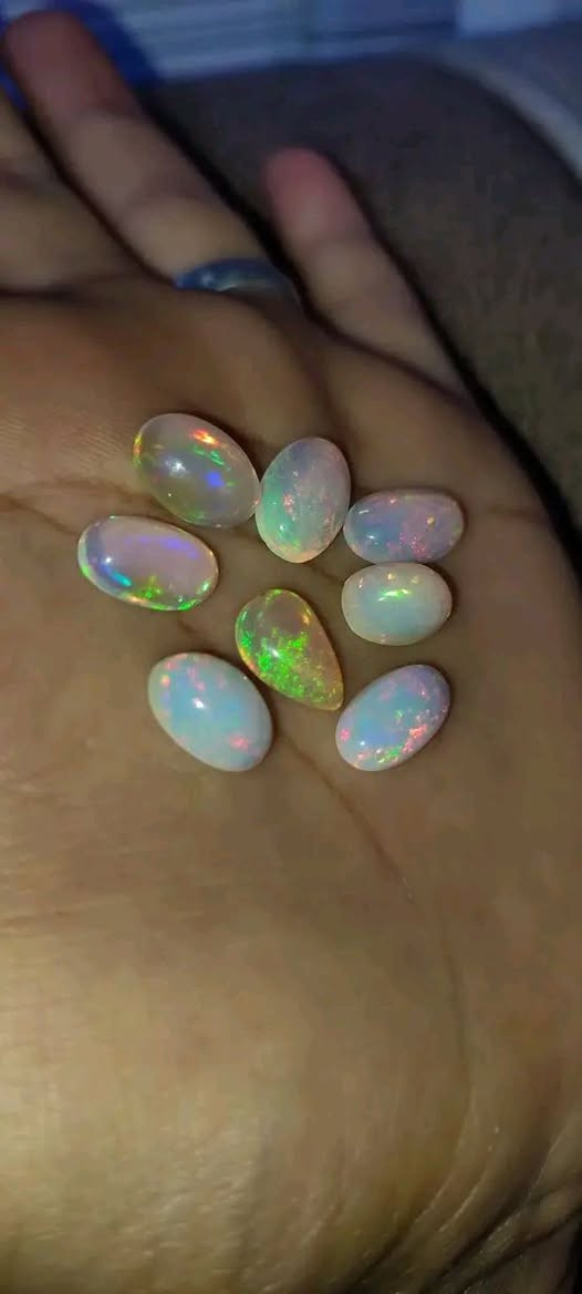 اوبال اثيوبي فول فاير اصلي نخب اول غير معالج سعر القطعه 20


**إذا كنت صاحب هذا الإعلان وتريد حذفه لأي سبب، رجاءا أرسل رسالة إلى الدعم الفني**