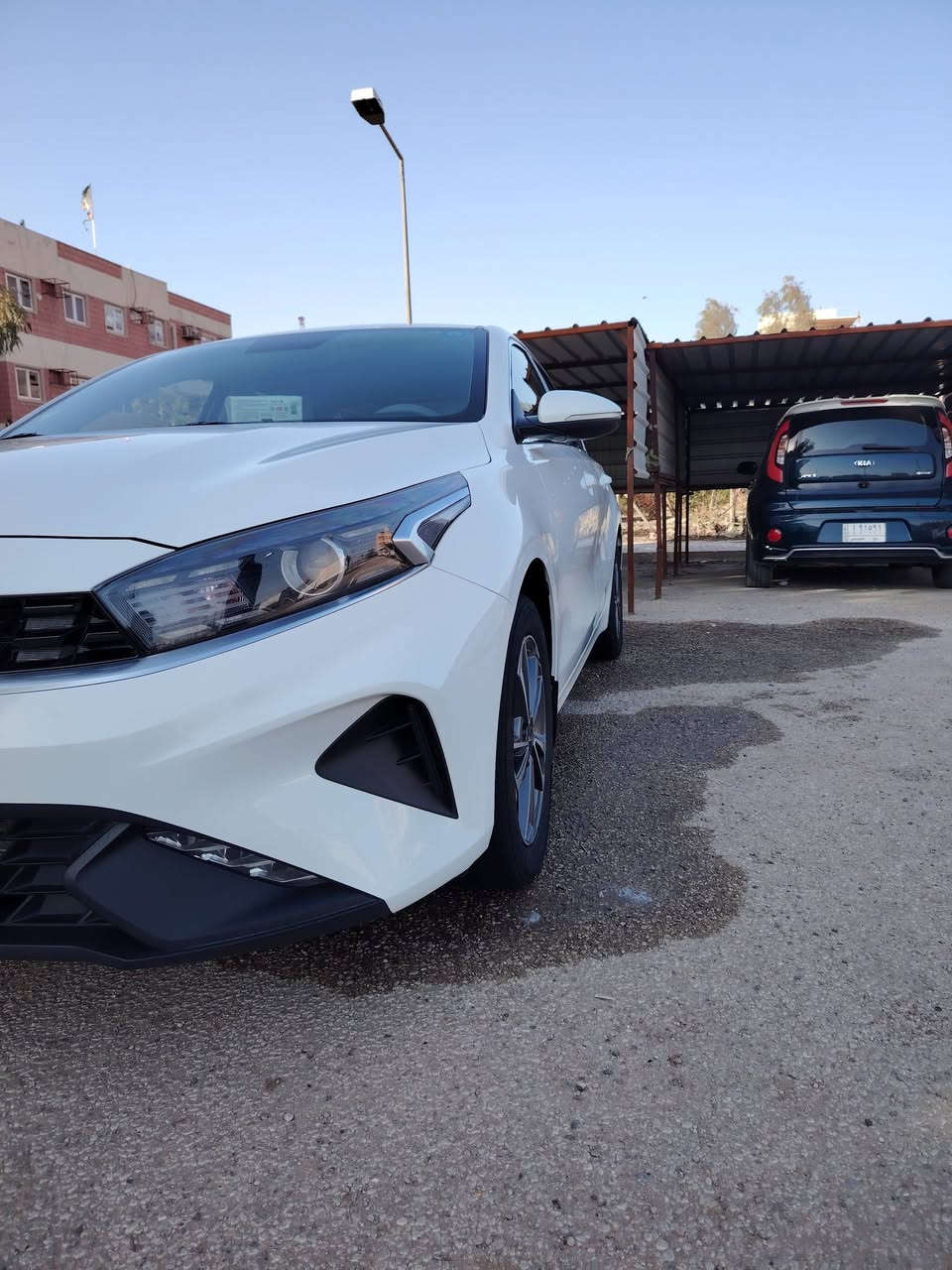 رمضان كريم
سيراتو ٢٠٢٣ فول مواصفات مكفوله من الصبغ والضربة والبارد مطلوبة باقيله سنتين وتنفك مطلوبة لمصرف باسم شخص اني مشتري منه شخصيا عندي وكاله عامة السعر 165 وبيه مجال بسيط
الاستفسار الاتصال ***********
