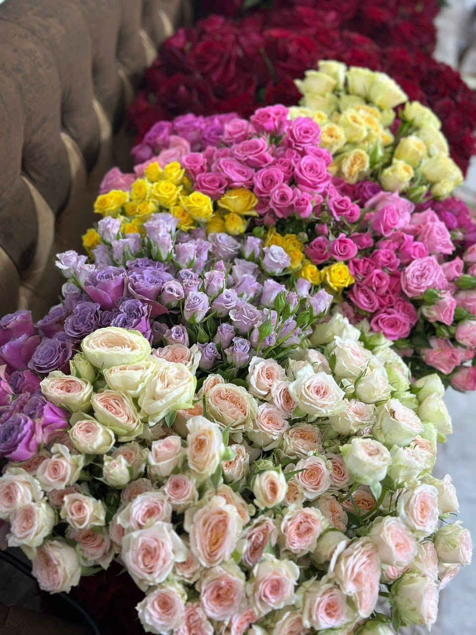 عروض السنة باقات الورد يلا ختار ولاتحتار 
مكتب مهدي التوصيل طلبات ناصرية 
***********
