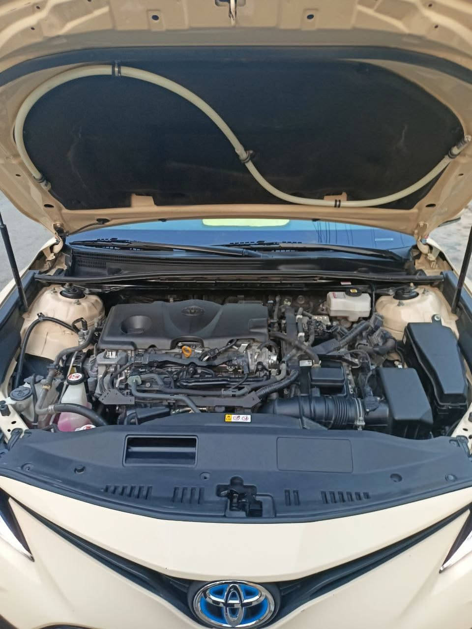 السلام عليكم للبيع
كامري هايبرد تكسي دبي 
موديل 2023اصل 
ماشيه 85 كيلو 
كير مكينه بطاريات خير من الله 
صدر امامي خلفي جديد 
بيها جاملغ وبنيد صبغ 
السعر 160وبيها مجال 
رقم بغداد الدولي بسمي شخصيا
مكان السياره بغداد الشعب 
للاستفسار الاتصال 
***********
