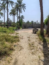 ٣٠٠م • بدايه بنشه • طابو زراعي