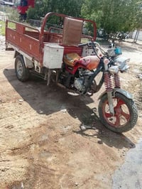ستوته • شراي • موديل ١٣