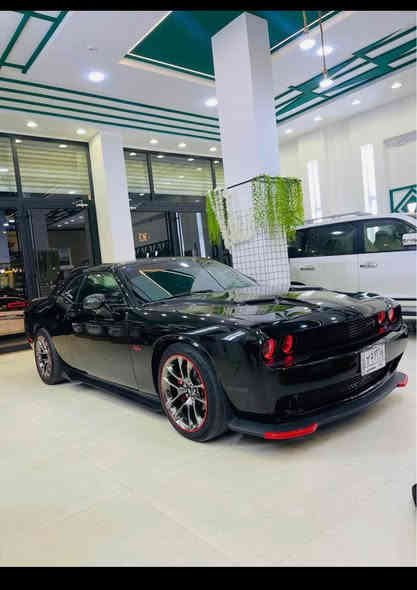 جالنجر SXT
مديل 2018 رقم بغداد مشروع وطني ب اسمي
محرك كير جدد
حداده خلفي امامي جديد توه نافضها
منظومه تبريد جديد(راديتر+كمبريسر+بوريات)
حادث جاملغ+بنيد بدون لغد (حادث سطحي)
المواصفات :
1/شفتات ستيرن 
2/هيتر بالمري
3/شاشه كار بلي حجم كبير
4/نظام سبورت
5/كشن كهرباء
6/مري تعتيم 
7/دخول ذكي +تبريد امامي خلفي 
8/مثبت سرعه
9/حساس اطارات 
10/شاشة اعطال 

الاضافات:
1/تغليم ppf بالكامل1500$
2/ويل كروم سكات باك الاصلي 800$
2/امبلي فاير +سستم سماعات ودمام خلفي 700$
4/منظومه لايتات (عدسات عدد 4 +لد متغير )900$
5/تغليف الزجاج عازل حراري بولرايز الاصلي 400$
6/تطعيم الستيرن كاربون فايبر 
7/لحيه اماميه +دوس جانبيه +دفيوزر خلفي ابو اللد
8/كفرات فجوج سته بستم
(سياره جاهزه ربع دينار مابيهه مصرف)

‏‪0771 759 1393‬‏
