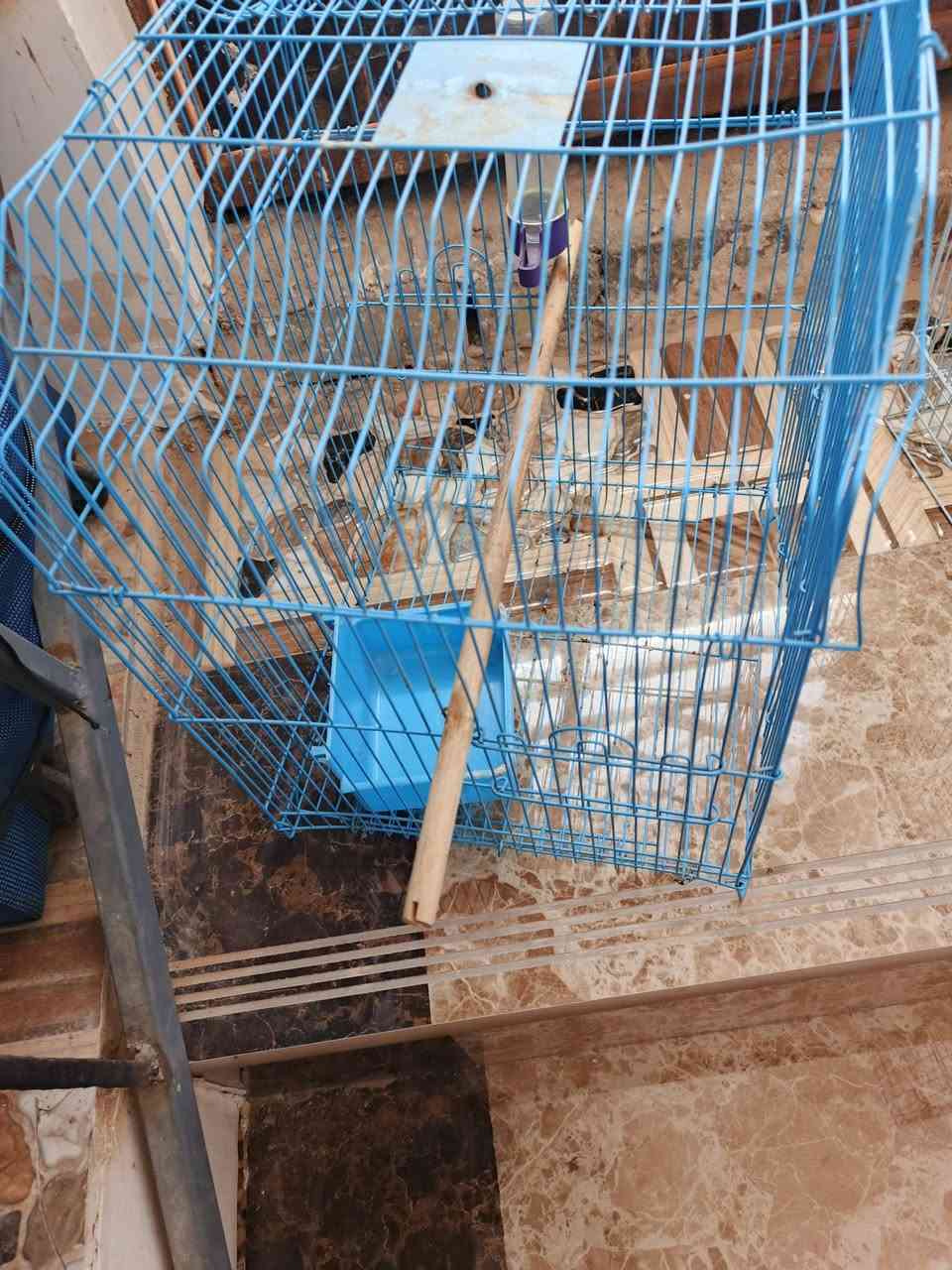 اقفاص طيور للبيع باسعار مناسبة مكلفه بالنشر


**إذا كنت صاحب هذا الإعلان وتريد حذفه لأي سبب، رجاءا أرسل رسالة إلى الدعم الفني**