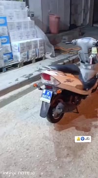 ماكس منغولي • كفاله • نجف كوفه