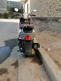 ماكس بوليسي كفاله عامه ختم واحد برغي ماناقصها نهضه ومعدل فول سعرها ٨٧٥...