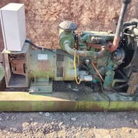 مولد بيركنز انكليزي فوركسن للبيع 07867312523