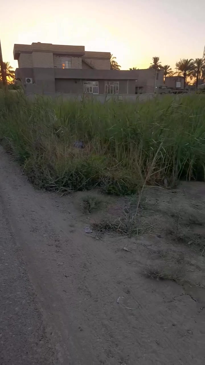 سلام عليكم نص دونم طابو سند 25 وجه 48 متر يبعد عن شارع العام 100متر متوفر جميع الخدمات العنوان بغداد المدائن الجعاره شارع الكامرات الاستفسار ***********
