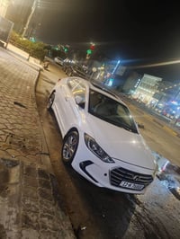 النترا ٢٠١٦ • شكل ١٧ • كفالة شركة