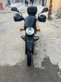 بوكسر • ٢٠٢٣ • مكفوله