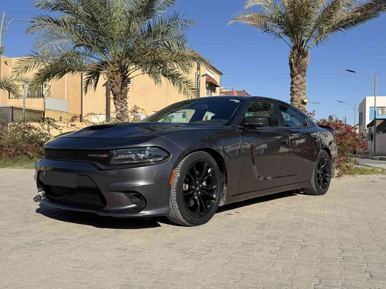 السلام عليكم
السعر مناسب جدا مقارنه بخواتها 168  والسياره تو ويل مو فووور تو ويل 
R/T 2018 
سوبر تراك باك 
كشنات حضن 
ويل هيلكات 
برمجه مراوح 
برمجه شاشه لغه عربيه 
اضافات هيلكات 
تنزيل لجام من الريمون 
مبرمجه بانزين عادي 
رقم اربيل سنويه لل30 وهزه وارقام جدد
السياره بيها قطعتين صبغ وقطعتين كلير وبنيد تحديث فقط 
ماشيه 42 ميل 
بريحت الوكاله بعدها 
الشاشه الجبيره 
لايت زنون لدات امامي خلفي 
حساس خلفي  
تو ويل اصل 
مكينه كير حداديه تخم تاير باتريد جديد حجر بيئه كله موجود بيها طخه باب الصدر بعدها ع وضعها كلش بسيطه ممبينه 
السياره ستوك بعدها كلشي مملعوب بيها ع البلاد 
مكاني نجف السعر ب168 وبيها مجال قليل كلش ماكو 18 بهذا السعر 
***********
