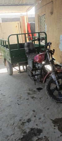 ستوته مراوس • شغالة • بابل جبله