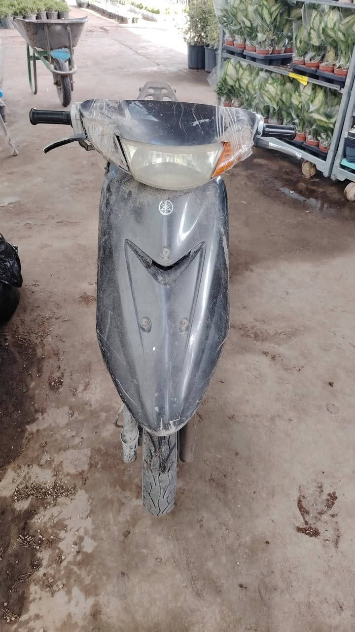 السلام عليكم عندي عصفوريه للبيع اتصال ***********
