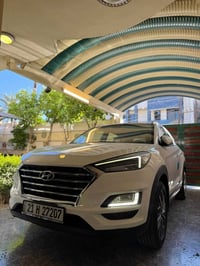 توسان • ٢٠١٩ • كفالة وصبغ وتبديل