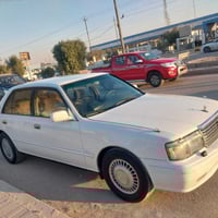 راس الثور • مصبوغه • باسمي