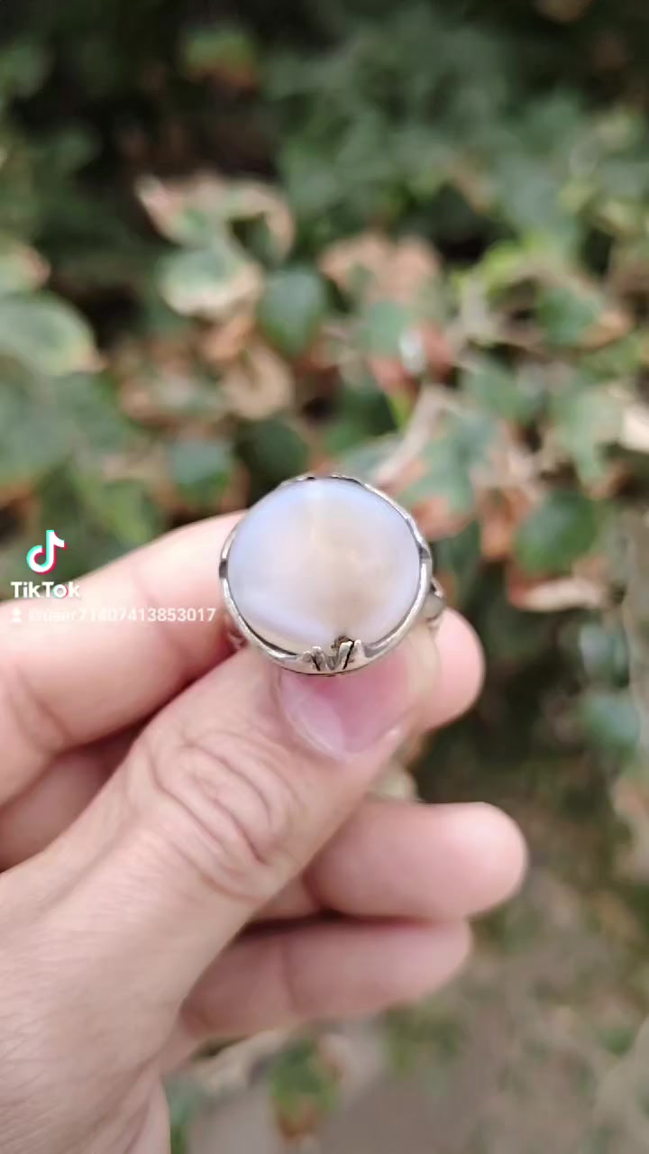 جزعه أصل ملاكط كاع ألفجر شرط طبيعي رباني مشكول


**إذا كنت صاحب هذا الإعلان وتريد حذفه لأي سبب، رجاءا أرسل رسالة إلى الدعم الفني**