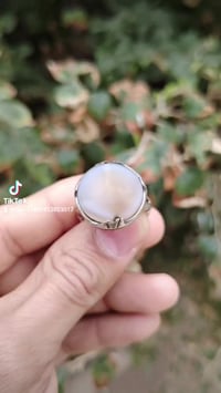 أصل • طبيعي • مشكول