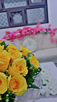 سارع بالحجز كوشات خطوبه حنه عرس الحجز ع هذا الرقم ٠٧٧٠٨١٧٥٣٧١