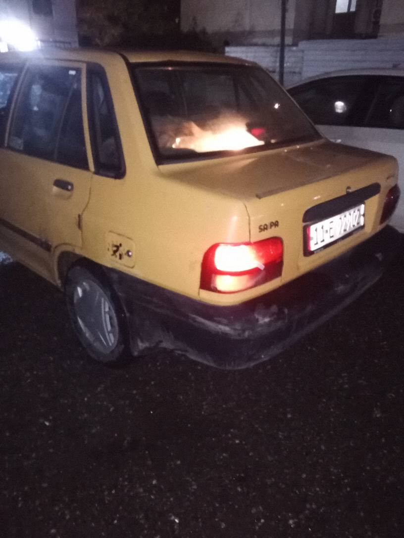 السلام عليكم سايبا جاهزه ٢٠١٣ نضيفه
وجاهزه علا آخرحبايه
سنويه ٣٠
رايدها ب ٢٨
وهذا رقمي ***********
