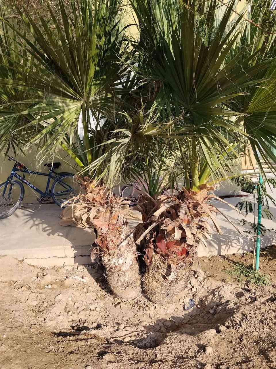 سڵاووڕێز فرۆشتنە ***********
