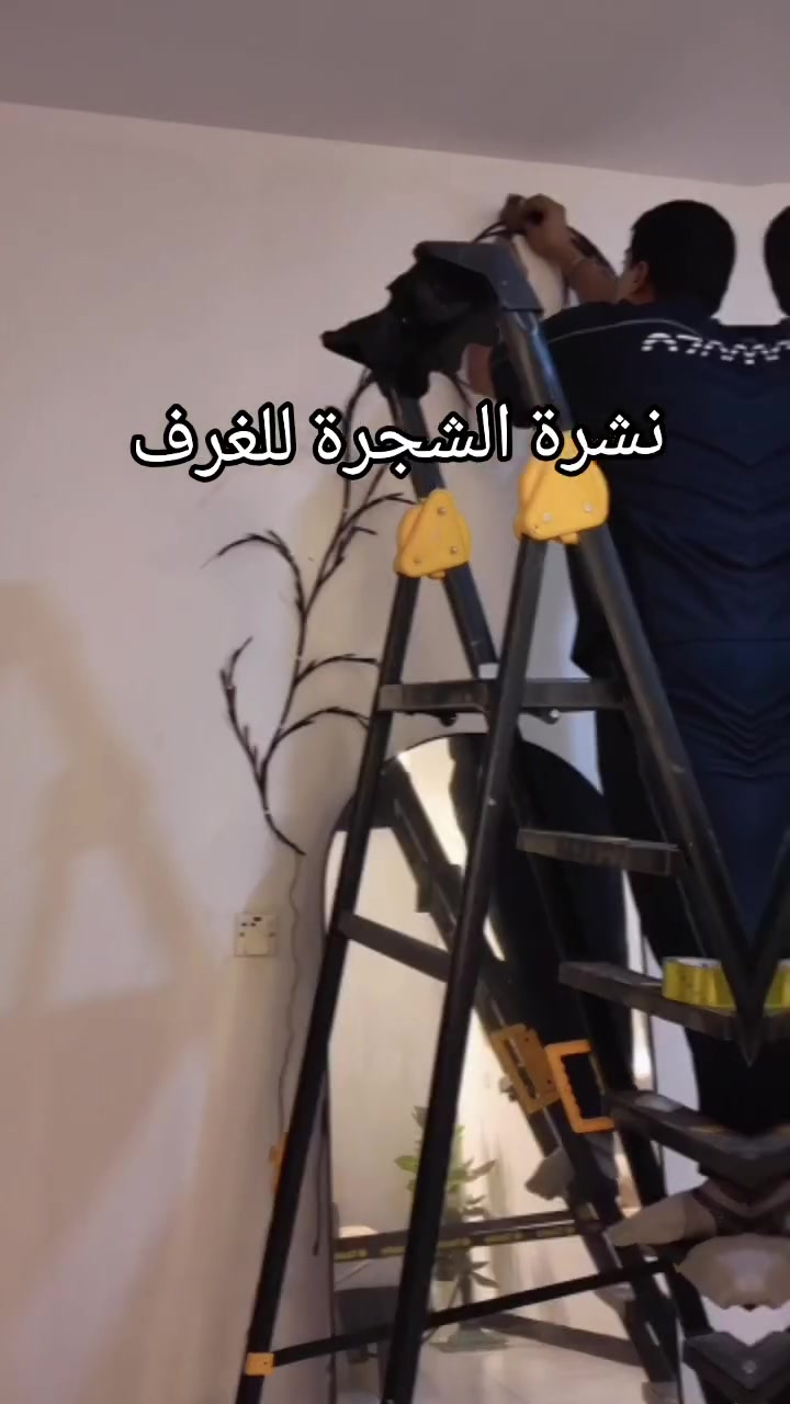 التوصيل مجانا لكل المحافظات 💗


**إذا كنت صاحب هذا الإعلان وتريد حذفه لأي سبب، رجاءا أرسل رسالة إلى الدعم الفني**